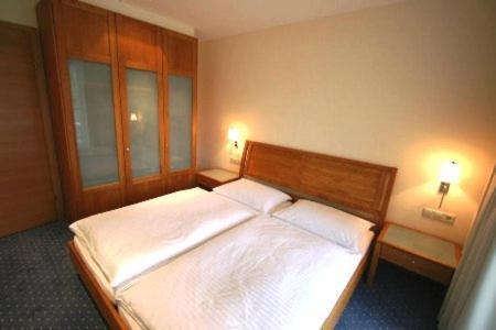 Aparthotel Tritscher ชลัดมิง ภายนอก รูปภาพ
